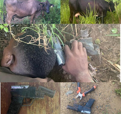 Supuesto cuatrero haitiano resulta muerto al enfrentar patrulla del ejército en Dajabón