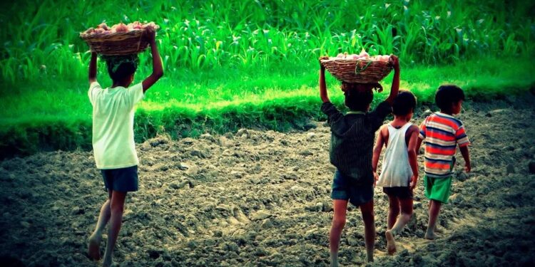 El execrable trabajo infantil