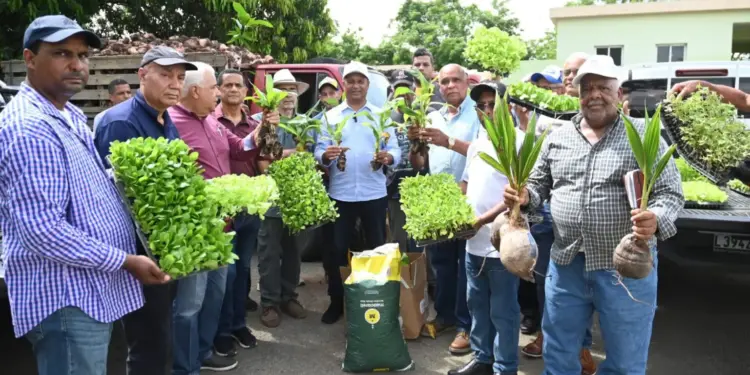 Gobierno informa apoyo a productores agrícolas afectados por tornado en el Cibao central