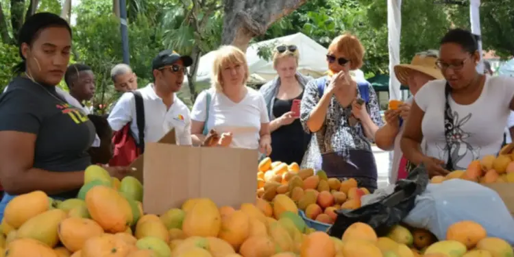 Diputados aprueban proyecto declara “Capital del Mango” el municipio de Baní