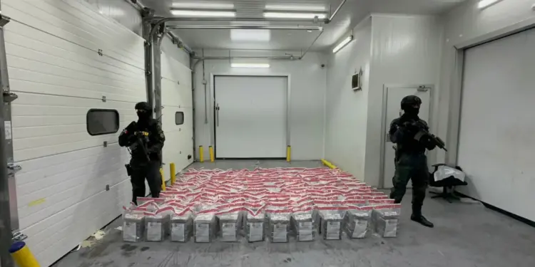 Confiscan otro cargamento de 918 paquetes de presunta cocaína en Caucedo