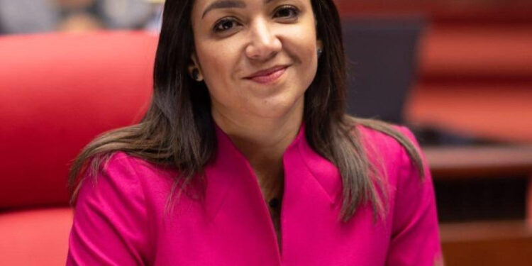 Faride Raful es la nueva ministra de Interior y Policía
