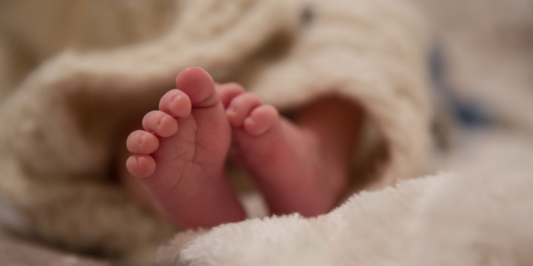 Agentes policiales rescatan recién nacido que fue abandonado en pavimento en el municipio de Nizao