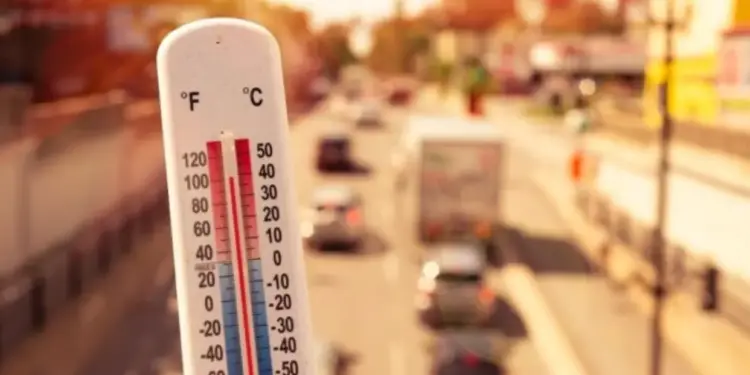 Miércoles soleado, polvo sahariano y temperaturas calurosas