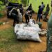 Incautan alijo de 547 pacas de  marihuana en comunidad de Puerto Plata