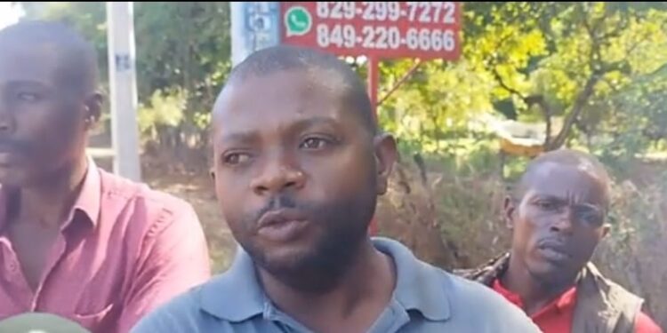 Haitianos niegan estén comercializando guineo desde fincas en RD