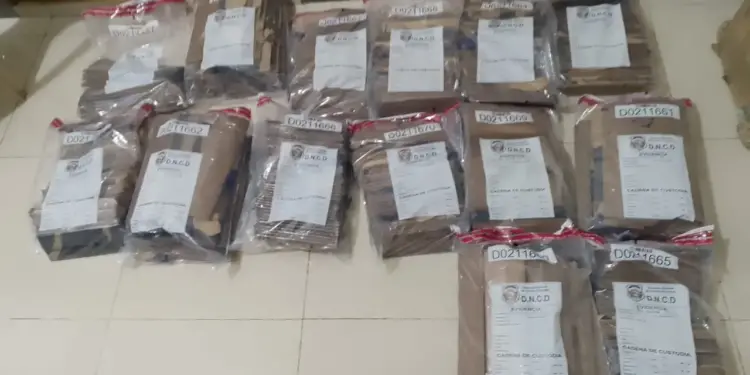 Incautan 663 láminas de cocaína camufladas en cajas cargadas de banano en Caucedo