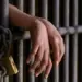 Solicitan prisión contra dos personas arrestadas por chantaje digital en La Vega
