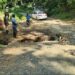 Socavón impide transito por carretera de restauración