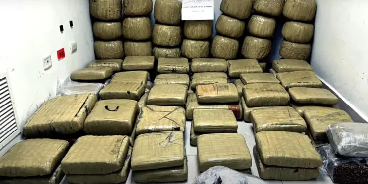 Arrestan hombre vinculan al decomiso de 573 libras de presunta marihuana