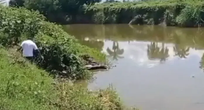 Localizan cuerpo de haitiano flotando en el río Masacre por la Vigía Dajabón