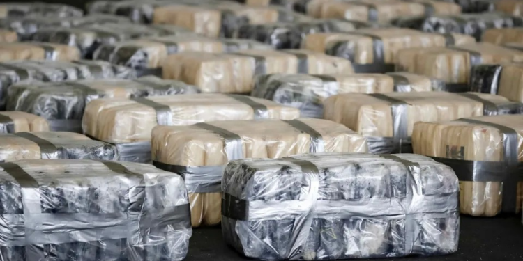 Decomisan 1.3 toneladas cocaína en contenedor que iba a Bélgica