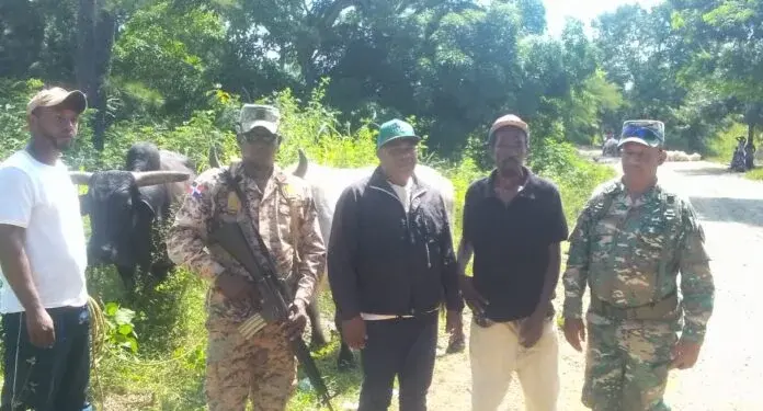 El ejército recupera “Yunta de Bueyes” habían robado en Rio Limpio