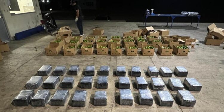 Incautan 201 paquetes de presunta cocaína dentro de un cargamento de limones en Monte Cristi