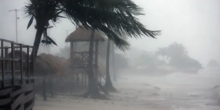 Helene deja más de 50 muertos en sureste de EEUU antes de perder fuerza rumbo al norte