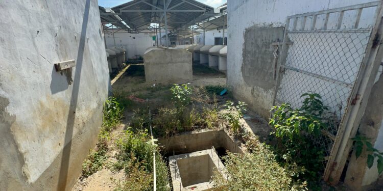 Comerciantes exigen terminación de mercado de las verduras en Dajabón
