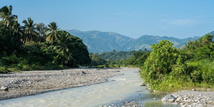 Privados de libertad participarán en reforestación de cuencas hidrográficas