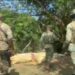 El ejército incauta valioso contrabando de bebidas y mercancías en Dajabón