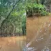 Medio Ambiente estudia aguas en Laguna Limón de Miches donde miles de peces han muertos