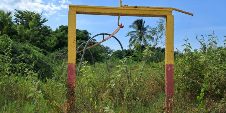Nuevo administración del Proyecto Manzanillo cancela funcionarios que según no rendían labor