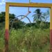Nuevo administración del Proyecto Manzanillo cancela funcionarios que según no rendían labor