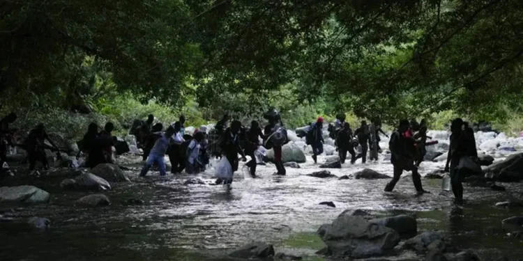 Solidaridad entre migrantes, la diferencia entre morir o sobrevivir a la selva del Darién