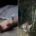 Muere mujer arrollada por un camión descarrilado en localidad de Altamira