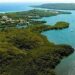 Paliza advierte Medio Ambiente tiene obligación de cuidar y preservar manglares en bahía de Luperón