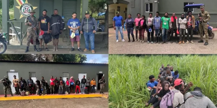 Detienen 139 haitianos indocumentados durante operativos en la zona fronteriza
