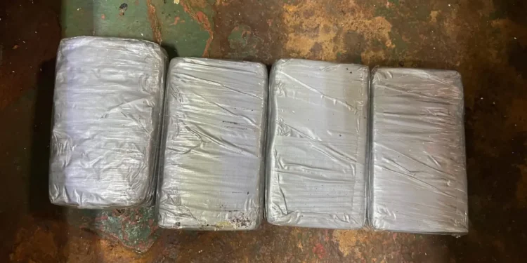 Confiscan cuatro paquetes de presunta cocaína en puerto Santo Domingo