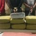 CESFronT y DNCD detienen a cuatro hombres con 70.1 libras de marihuana