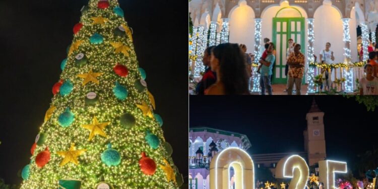 Prenden Árbol de Navidad junto a colorida decoración en Plaza Independencia de Puerto Plata