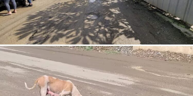 Más de 200 millones de pesos recibidos en la junta distrital de Cañongo y hay una sola obra para la Vigia