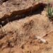 Temen a contaminación por Cadáveres; Alertan sobre entierros inadecuados de varios haitianos en cementerio El Pocito de Monte Cristi