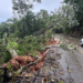 Derrumbe obstruye carretera clave en Cabrera; comunidades afectadas piden intervención
