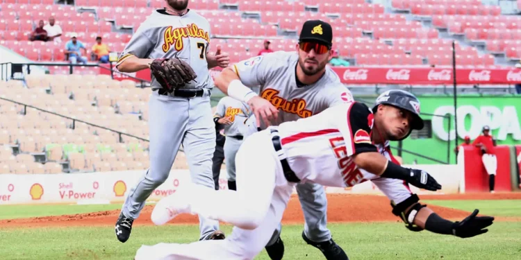 LIDOM: Juegos HOY 1 de diciembre de 2024 en la pelota invernal