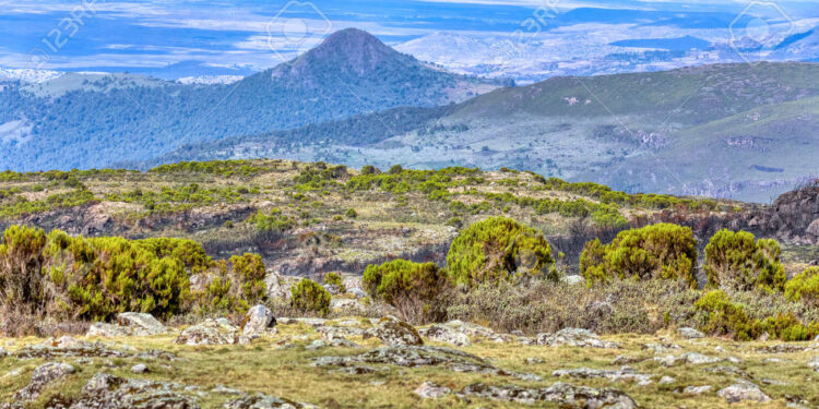Soluciones basadas en las montañas