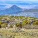 Soluciones basadas en las montañas