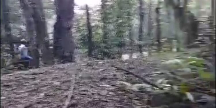 Vídeo; Decenas de haitianos son cruzados en motocicletas frente a chequeo del ejército en La Cienaga-Dajabón