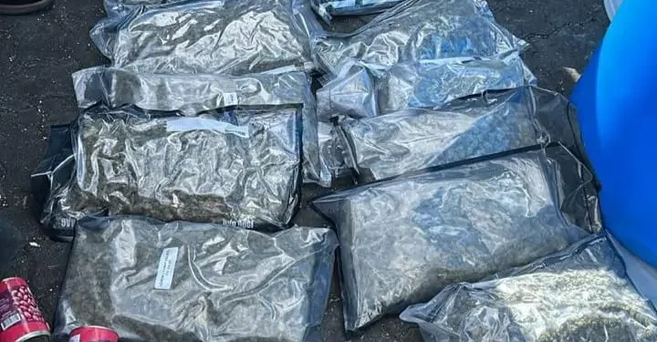Ocupan 12 paquetes de marihuana camuflados en tanque de comida