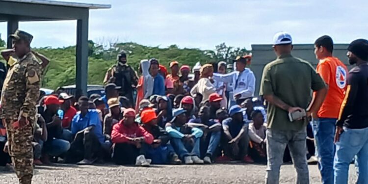 Exportadores de bananos denuncian pérdidas millonarias por detención y repatriación de obreros haitianos en la Linea Noroeste