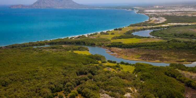 Denuncian captura indiscriminadas de especies marina en desembocaduras de ríos en Manzanillo y Montecristi