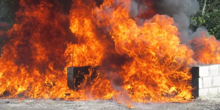 Autoridades queman más de 330 kilos de drogas en un operativo de seguridad