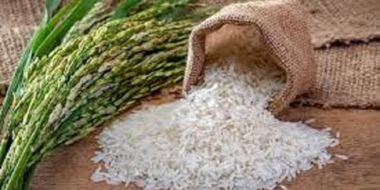 Arroceros afirman el precio del arroz no ha variado a nivel de producción