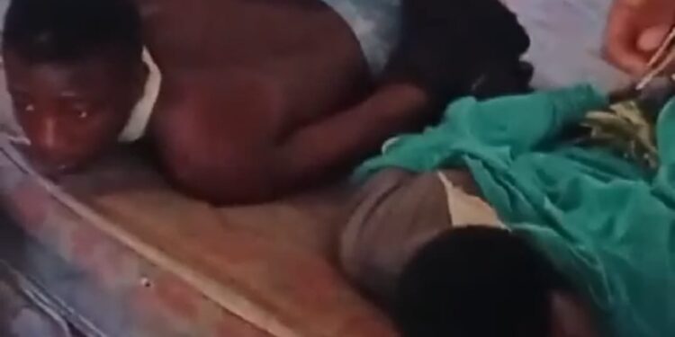 Vídeo; Cuatreros haitianos habrían amarrado empleados para robar un ganado en ¨la Peñita¨ Dajabón 