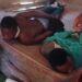 Vídeo; Cuatreros haitianos habrían amarrado empleados para robar un ganado en ¨la Peñita¨ Dajabón 