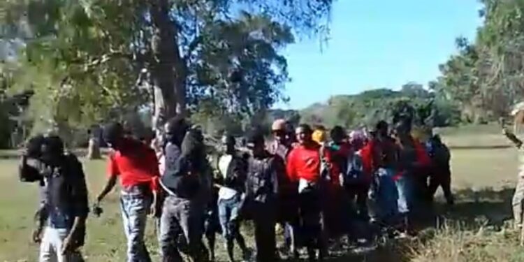 Más de un centenar de inmigrantes haitianos fueron detenidos en diversos operativos en Montecristi y Valverde