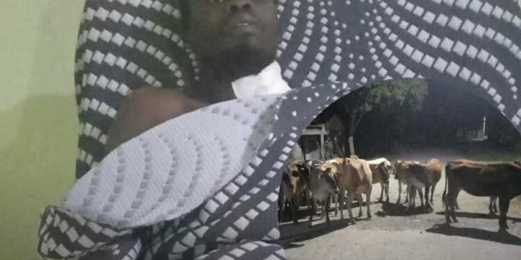 Hieren de bala Haitiano encargado de una finca para robar ganado en Dajabon