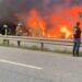 Incendio destruyó varias casuchas en el sector Maggiolo de Cofresí