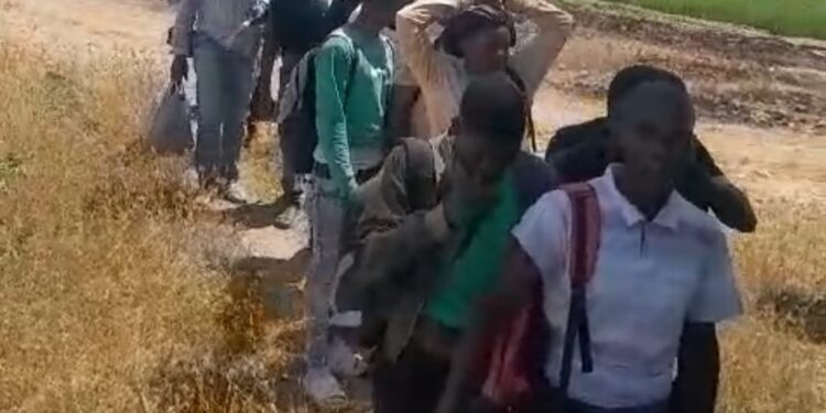 Vídeo; Ejército detiene un grupo de 57 indocumentados durante operativos en Montecristi